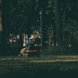 A man in coveralls operates a lawn mower in a verdant park setting, surrounded by lush trees and grass.